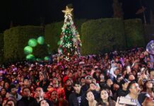 En un ambiente de paz, Silao enciende el árbol de la esperanza
