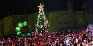 En un ambiente de paz, Silao enciende el árbol de la esperanza