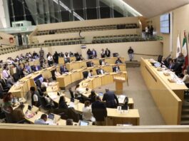 Envía mayoría legislativa al archivo dictámenes a favor del aborto