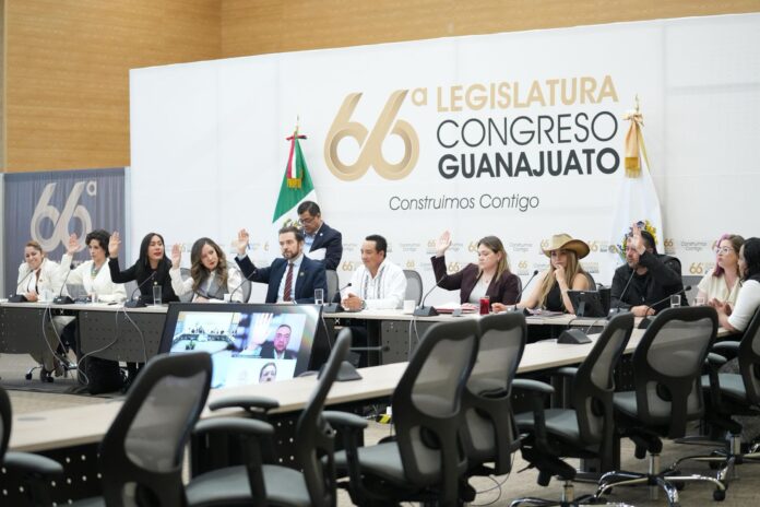 WhatsApp Image 2025-12-12 at 1.52.57 PM