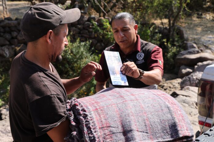 WhatsApp Image 2025-12-17 at 12.04.30 PM