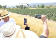 Valtierrilla es un viaje al corazón verde de Salamanca