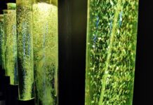 Explora nuevas experiencias en el Centro de Ciencias de León