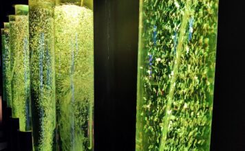 Explora nuevas experiencias en el Centro de Ciencias de León