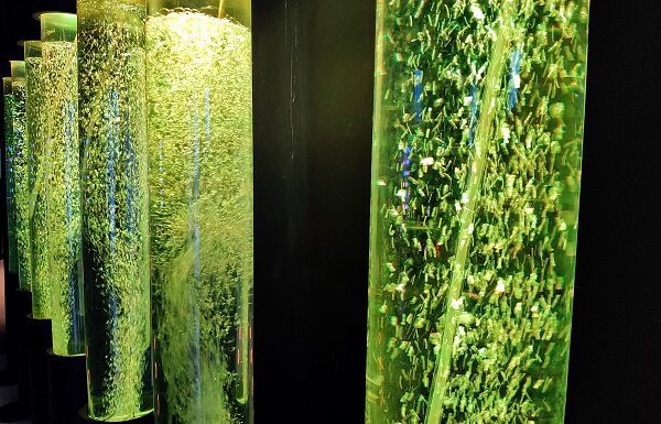 Explora nuevas experiencias en el Centro de Ciencias de León