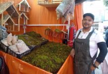 Comerciantes de León piden comprar local en estas temporadas