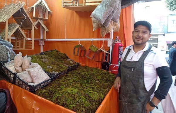 Comerciantes de León piden comprar local en estas temporadas