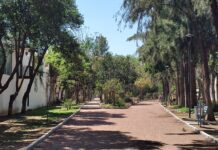 Más de 49 mil personas son usuarios de los parques en León