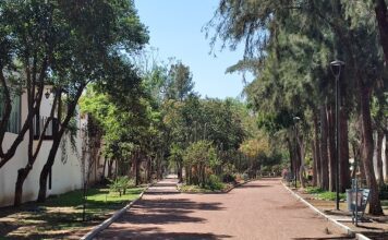 Más de 49 mil personas son usuarios de los parques en León