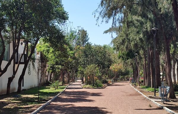 Más de 49 mil personas son usuarios de los parques en León