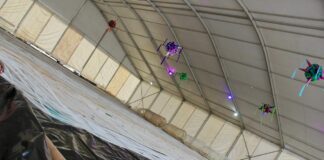 Navidad se estaciona en Silao con ¡Pista de hielo gratuita!