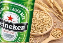 Xonotli producirá cebada para cervecera Heineken