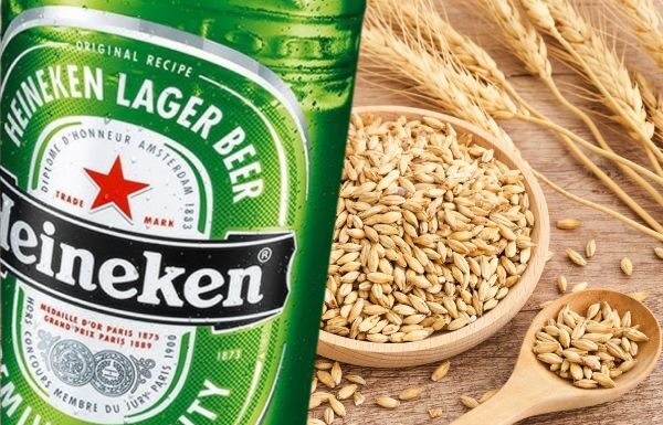 Xonotli producirá cebada para cervecera Heineken