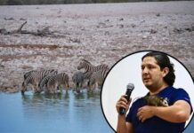 Eligen a Alejandro de Jesús Román como nuevo director de ZooLeón