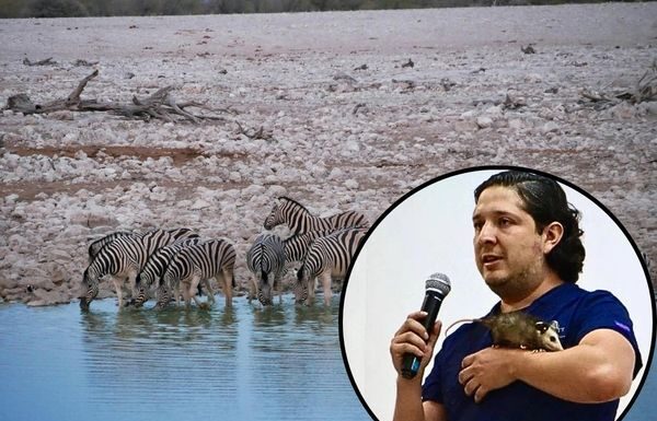 Eligen a Alejandro de Jesús Román como nuevo director de ZooLeón