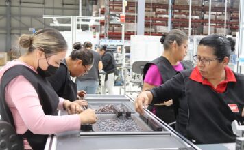 Guanajuato es segundo lugar en producción manufacturera