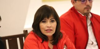 Reforma electoral dará poder absoluto al régimen: Ruth Tiscareño