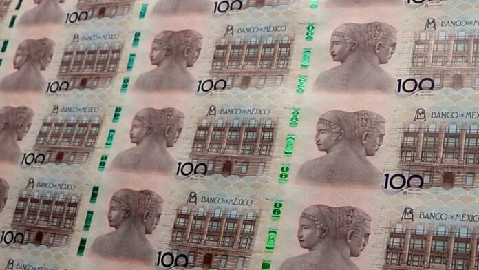 WhatsApp Image 2026-01-31 at 4.33.21 PM