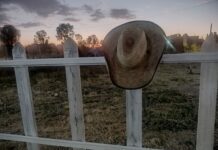 Causa violencia migración en algunas comunidades de Guanajuato: Libia Dennise