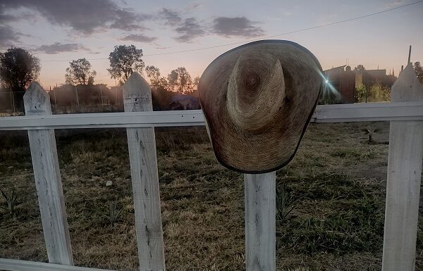 Causa violencia migración en algunas comunidades de Guanajuato: Libia Dennise