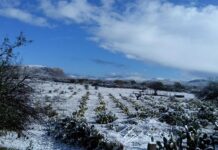 Guanajuato a la vanguardia en sistemas métricos del clima