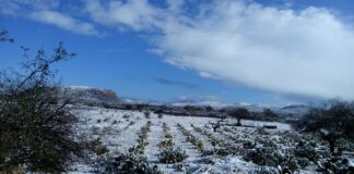 Guanajuato a la vanguardia en sistemas métricos del clima