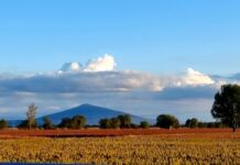 Abrirán proceso para regularizar predios afectados por Acueducto Solís