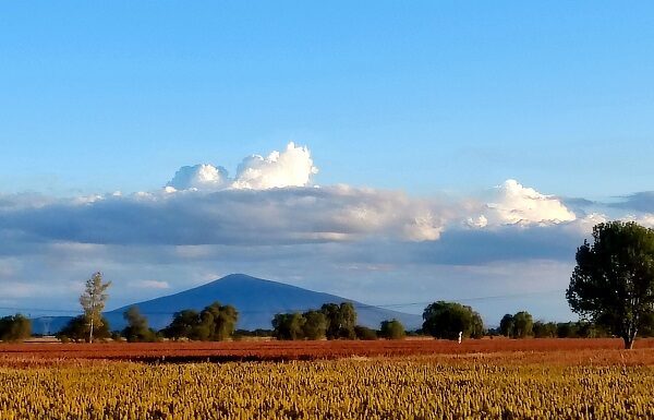 Abrirán proceso para regularizar predios afectados por Acueducto Solís