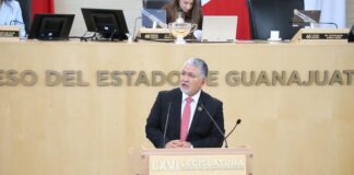 Busca Alejandro Arias integral reparación de daños en Guanajuato