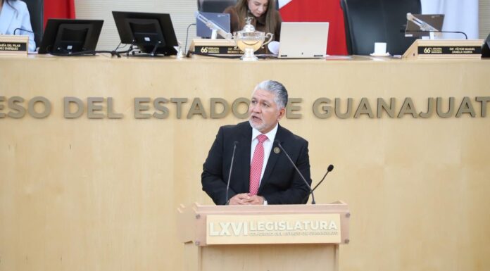 Busca Alejandro Arias integral reparación de daños en Guanajuato