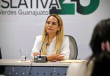 Diputada Itzel Mendo renuncia al PVEM