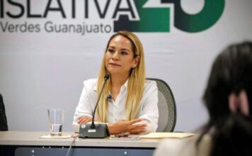 Diputada Itzel Mendo renuncia al PVEM