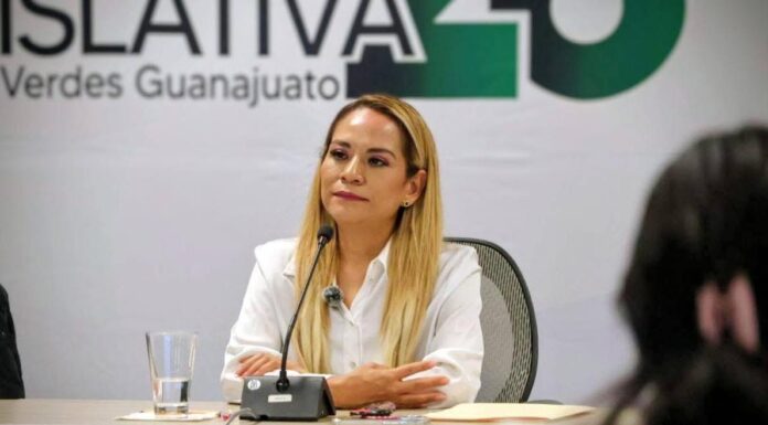 Diputada Itzel Mendo renuncia al PVEM