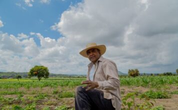 Tu Puedes Guanajuato una opción de financiamiento para el campo