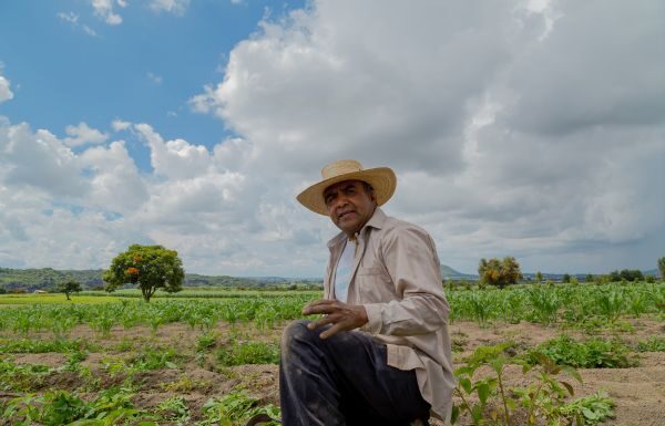 Tu Puedes Guanajuato una opción de financiamiento para el campo