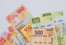 Cierra febrero BMV con rendimiento de capital