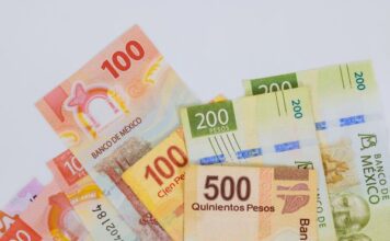 Cierra febrero BMV con rendimiento de capital