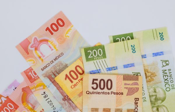 Cierra febrero BMV con rendimiento de capital