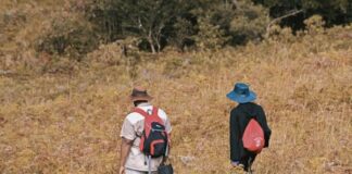 Diputados de AN llaman a respaldar a comunidad migrante