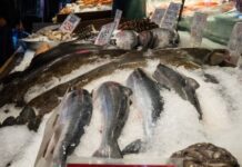 Emprende Secretaría de Salud de Guanajuato operativo de cuaresma