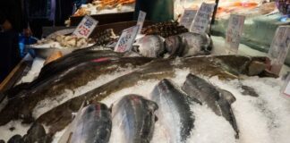 Emprende Secretaría de Salud de Guanajuato operativo de cuaresma