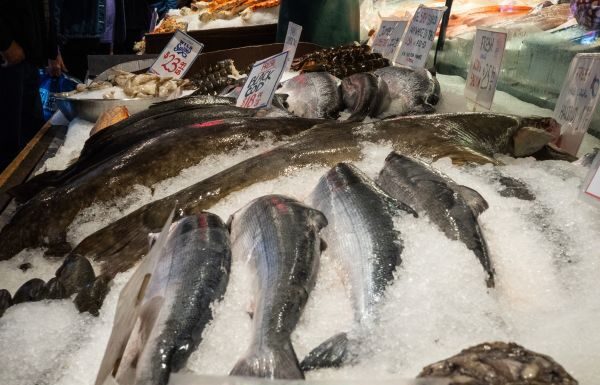 Emprende Secretaría de Salud de Guanajuato operativo de cuaresma