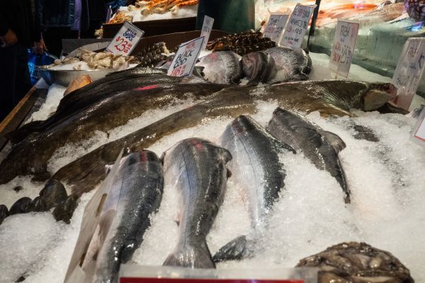 El terrorismo es la negación de las vías legales, del diálogo y la mediación, y en el caso que nos ocupa, una amenaza constante en la zona (66)