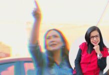 El bien mayor desde la (i)lógica de Samantha Smith