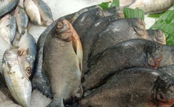 PROFECO vigilará precios durante cuaresma