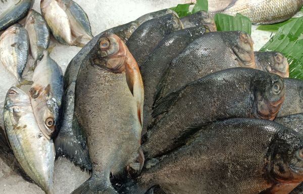 PROFECO vigilará precios durante cuaresma