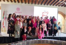 Asume Ana Cristina Fox de la Concha presidencia de AFEET Guanajuato