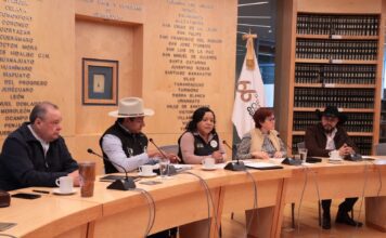 Aprueban en Congreso local dictámen para promover lenguas originarias
