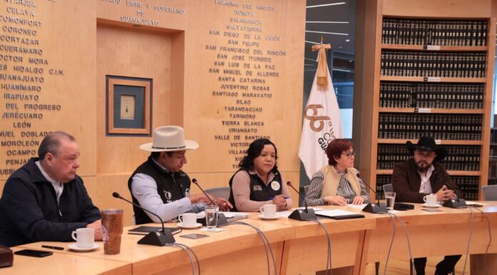 Aprueban en Congreso local dictámen para promover lenguas originarias