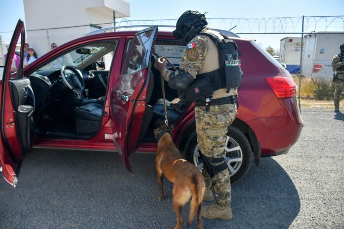 WhatsApp Image 2026-02-14 at 3.26.00 PM